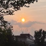 淘宝店铺到底应该怎么运营？这些真相你们知道吗？