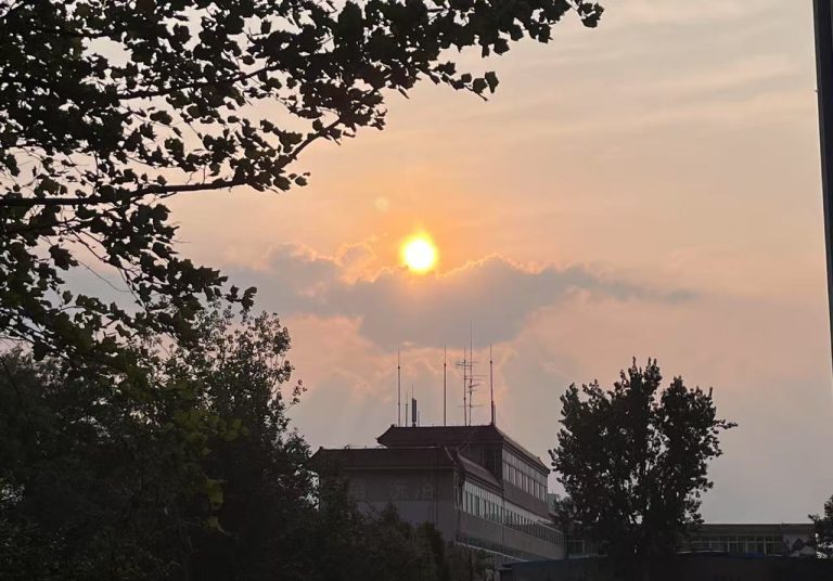 淘宝店铺到底应该怎么运营？这些真相你们知道吗？