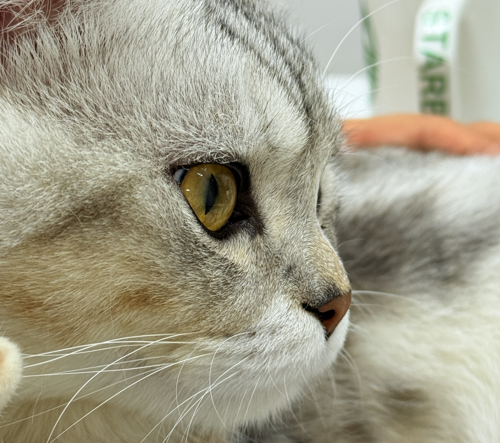 抖店一件代发货源怎么找？