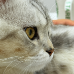 抖店一件代发货源怎么找？