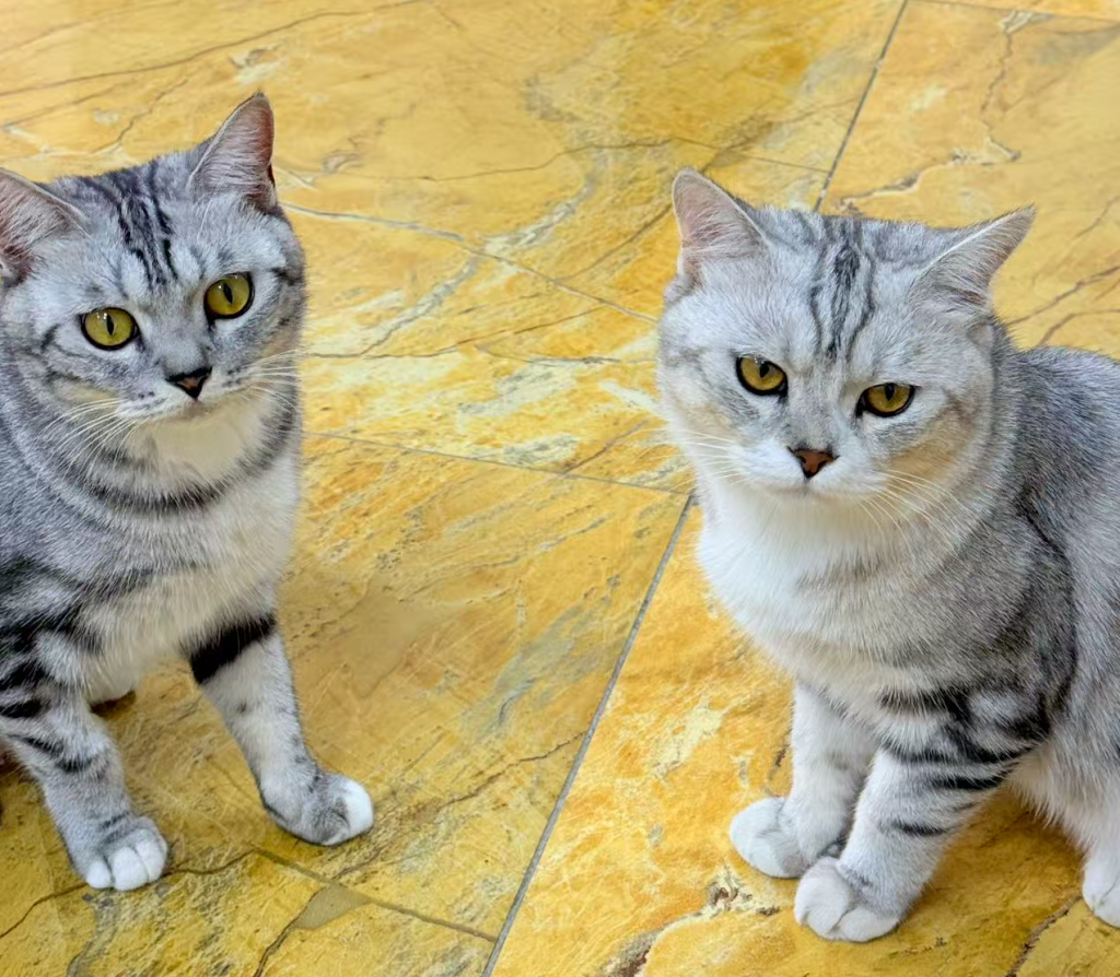 抖店没流量怎么办？这样做3天逆袭！别再乱花钱推广了！