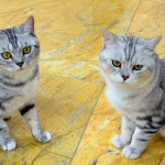 抖店没流量怎么办？这样做3天逆袭！别再乱花钱推广了！