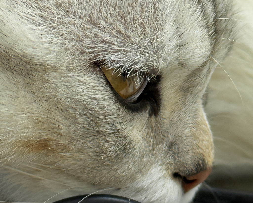 拼多多商品轮播图尺寸是多少？