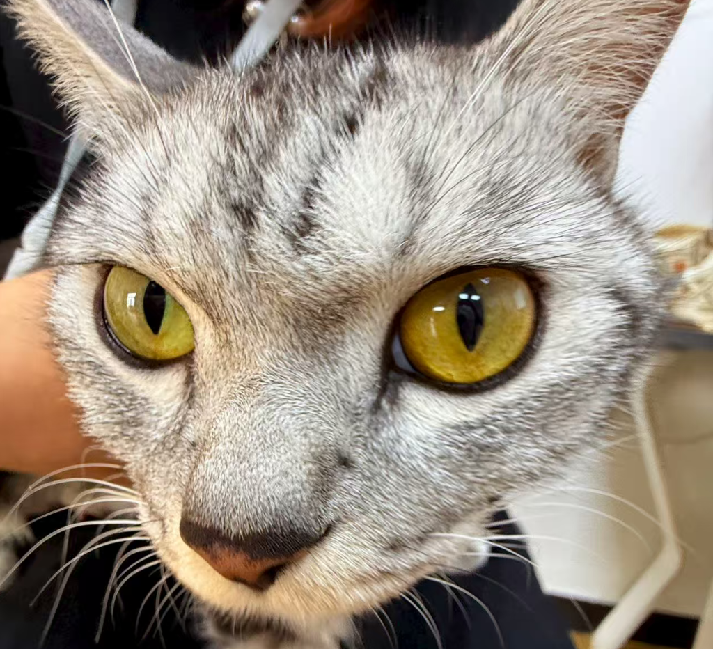 【新手必看】拼多多新手开店全部流程！