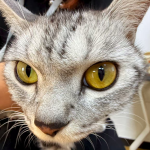 【新手必看】拼多多新手开店全部流程！