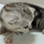 新手做拼多多卖什么好？