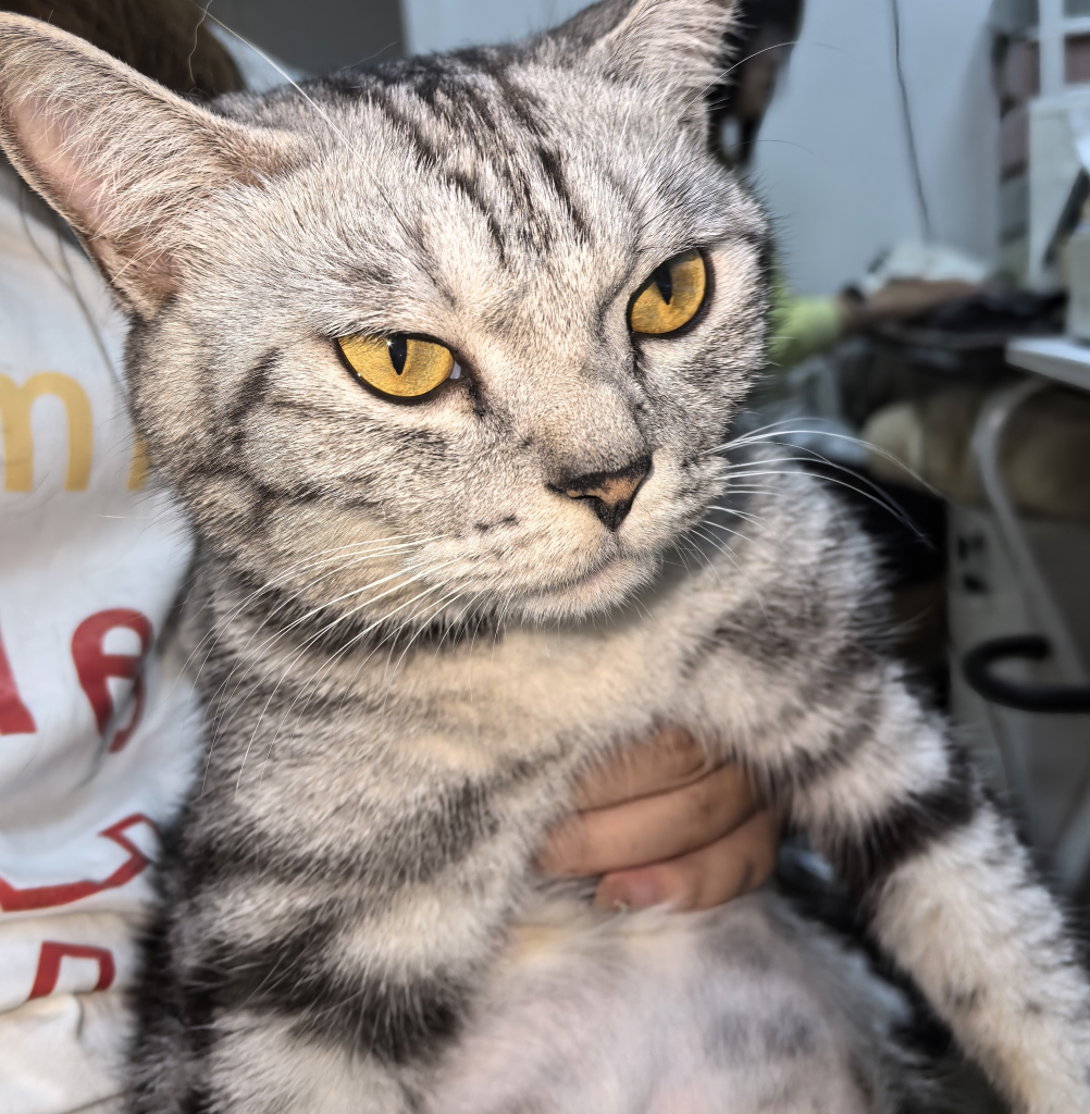 淘宝怎么把流量做起来？