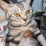 淘宝怎么把流量做起来？