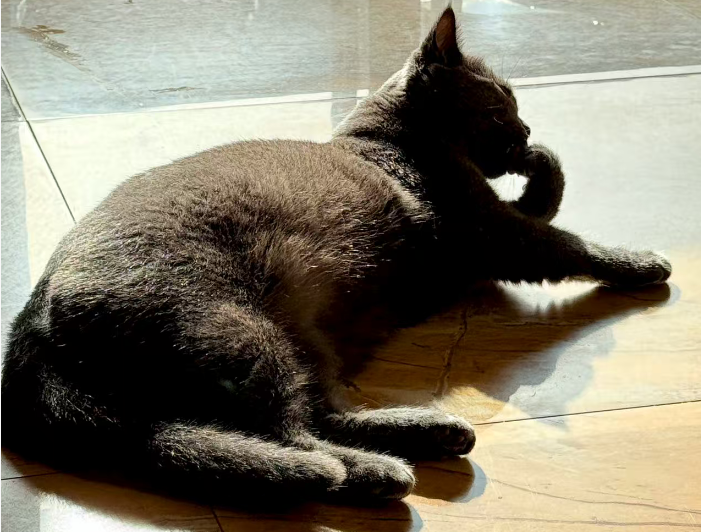 淘宝五招白嫖流量！