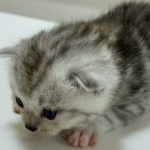 抖店在设置偏远地区不发货的时候需要注意什么？