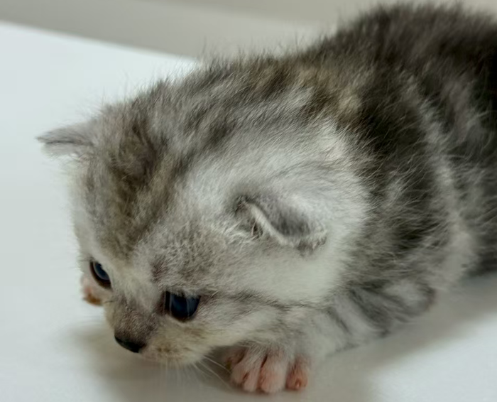 抖店在设置偏远地区不发货的时候需要注意什么？