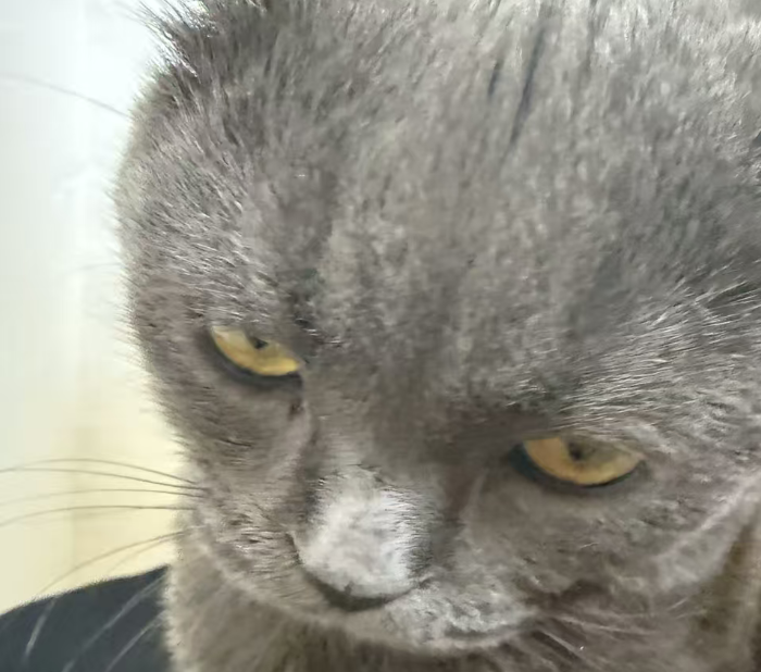 拼多多免费流量怎么获取？