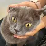 拼多多可以设置不包邮吗？