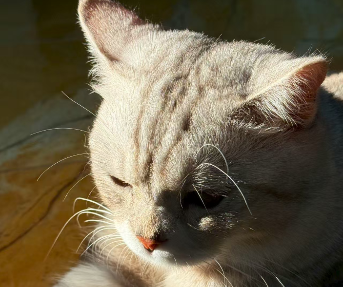 拼多多怎么做防比价？