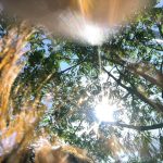 拼多多发布机会商品对商家有哪些好处？