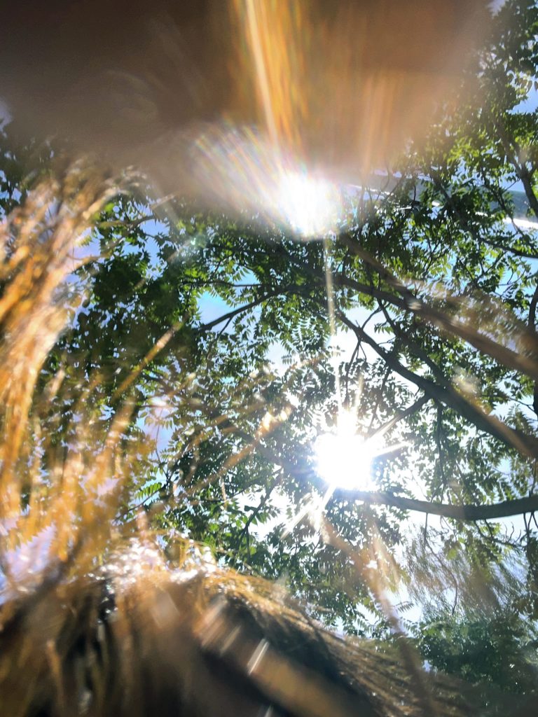 拼多多商家投诉维权的入口在哪？