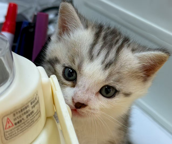 【新手必看】教你一招避免拼多多店铺被同行截流！降低买后退！