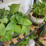 淘宝店铺自然流量怎么提升？