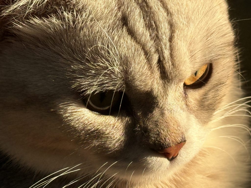 拼多多突然涨价会有什么影响？