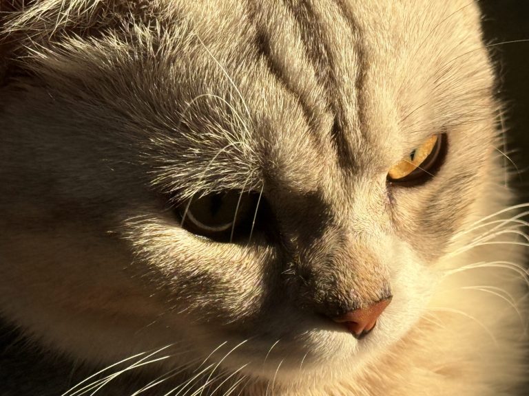 拼多多突然涨价会有什么影响？