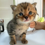 开抖店的商家，不想被扣保证金就一定要关闭这几个设置！