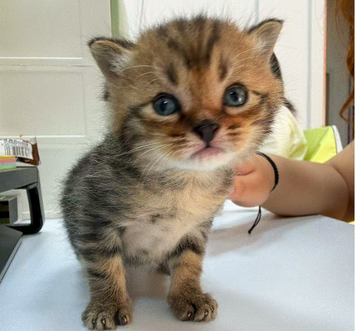 开抖店的商家，不想被扣保证金就一定要关闭这几个设置！