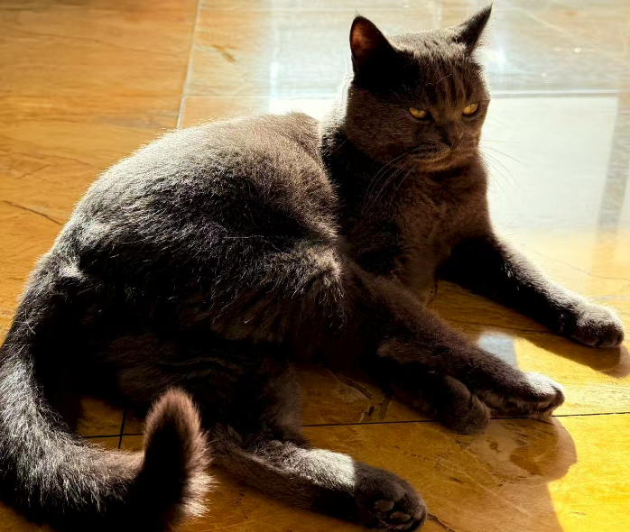 小红书商家入驻流程是什么？