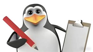 抖店和橱窗那个更适合新手卖家？