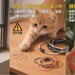 新手养猫全攻略2026版：从接猫到上手
